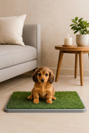 Potty Patch – Tapete Higiênico para Cães 🐾🚽